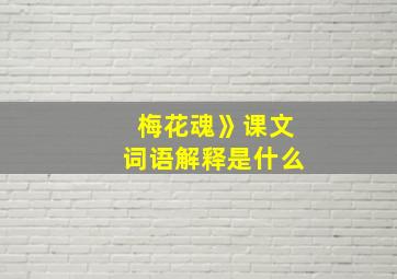 梅花魂》课文词语解释是什么