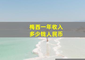 梅西一年收入多少钱人民币