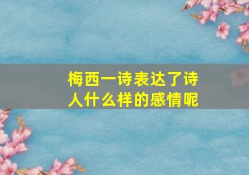 梅西一诗表达了诗人什么样的感情呢