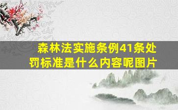 森林法实施条例41条处罚标准是什么内容呢图片