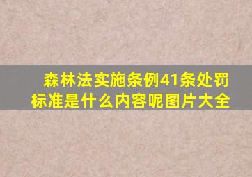 森林法实施条例41条处罚标准是什么内容呢图片大全