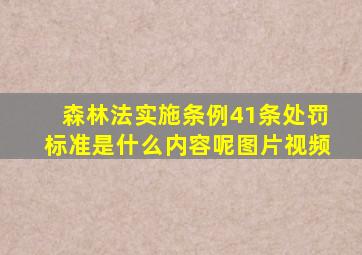 森林法实施条例41条处罚标准是什么内容呢图片视频