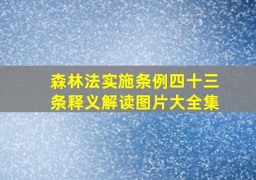 森林法实施条例四十三条释义解读图片大全集