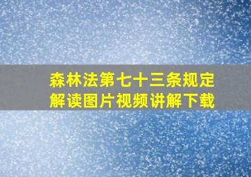 森林法第七十三条规定解读图片视频讲解下载