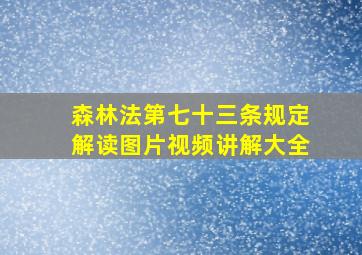 森林法第七十三条规定解读图片视频讲解大全