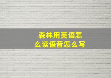 森林用英语怎么读语音怎么写