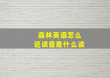 森林英语怎么说读音是什么读