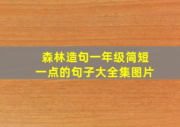 森林造句一年级简短一点的句子大全集图片