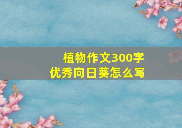 植物作文300字优秀向日葵怎么写