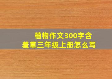 植物作文300字含羞草三年级上册怎么写