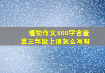 植物作文300字含羞草三年级上册怎么写呀