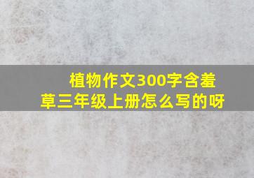 植物作文300字含羞草三年级上册怎么写的呀