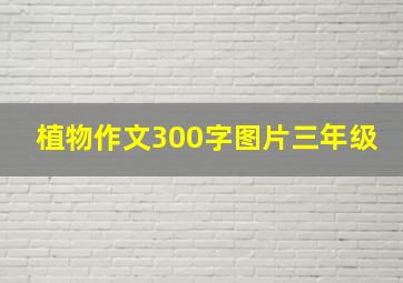 植物作文300字图片三年级