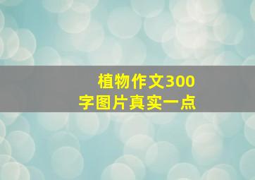 植物作文300字图片真实一点