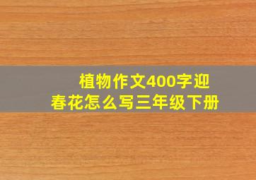 植物作文400字迎春花怎么写三年级下册