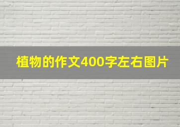 植物的作文400字左右图片