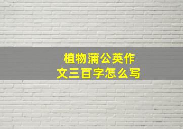 植物蒲公英作文三百字怎么写