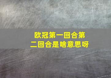 欧冠第一回合第二回合是啥意思呀