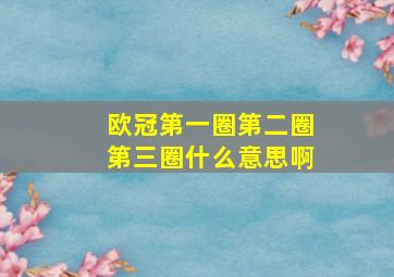 欧冠第一圈第二圈第三圈什么意思啊