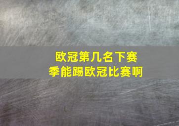 欧冠第几名下赛季能踢欧冠比赛啊