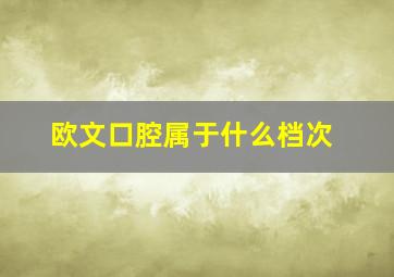 欧文口腔属于什么档次