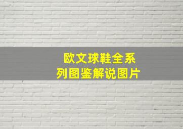 欧文球鞋全系列图鉴解说图片