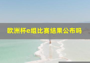 欧洲杯e组比赛结果公布吗