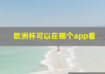 欧洲杯可以在哪个app看