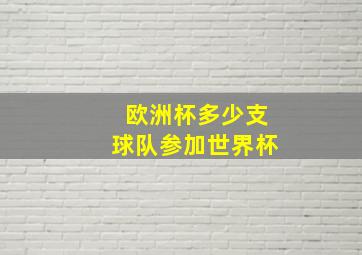 欧洲杯多少支球队参加世界杯