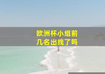 欧洲杯小组前几名出线了吗