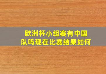 欧洲杯小组赛有中国队吗现在比赛结果如何