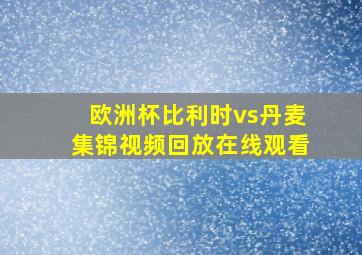 欧洲杯比利时vs丹麦集锦视频回放在线观看