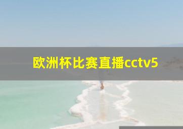 欧洲杯比赛直播cctv5