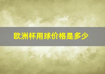 欧洲杯用球价格是多少