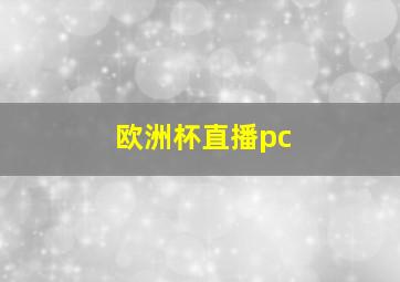 欧洲杯直播pc