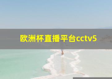 欧洲杯直播平台cctv5