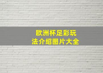 欧洲杯足彩玩法介绍图片大全