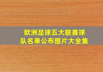 欧洲足球五大联赛球队名单公布图片大全集