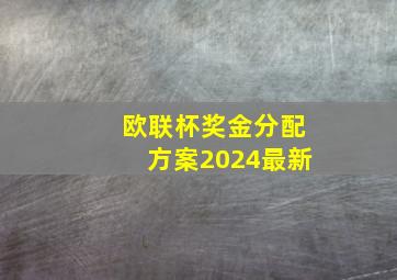 欧联杯奖金分配方案2024最新