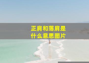 正肩和落肩是什么意思图片