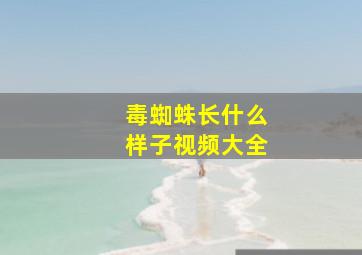 毒蜘蛛长什么样子视频大全