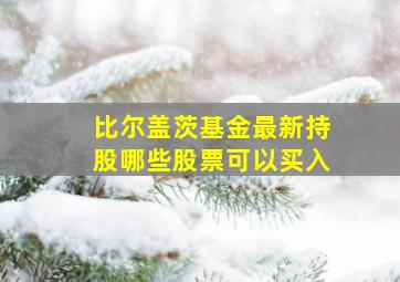 比尔盖茨基金最新持股哪些股票可以买入