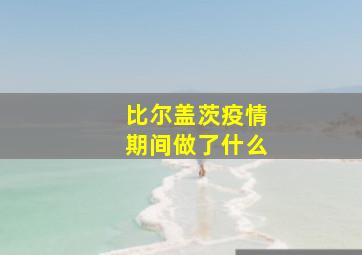 比尔盖茨疫情期间做了什么