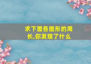 求下面各图形的周长,你发现了什么