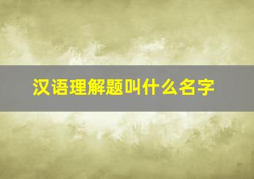 汉语理解题叫什么名字