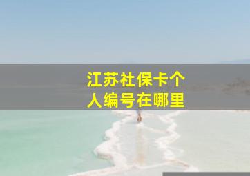 江苏社保卡个人编号在哪里