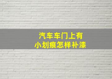 汽车车门上有小划痕怎样补漆