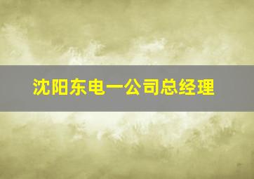 沈阳东电一公司总经理