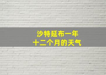 沙特延布一年十二个月的天气