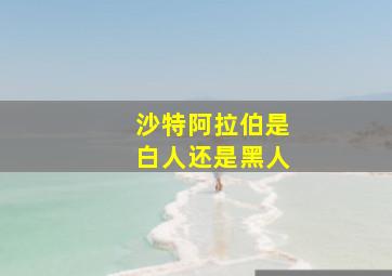 沙特阿拉伯是白人还是黑人